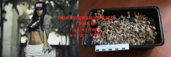 сатива Белокуриха