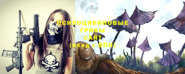 сатива Белокуриха