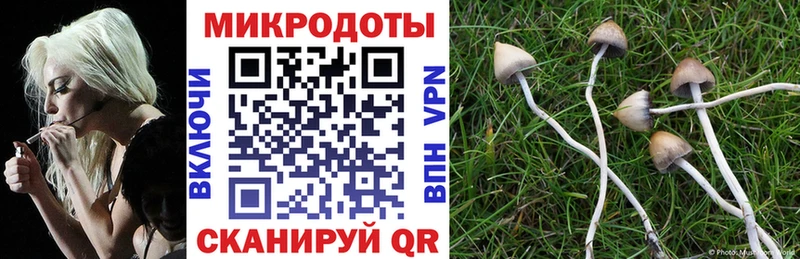 Галлюциногенные грибы ЛСД  Мариинский Посад 